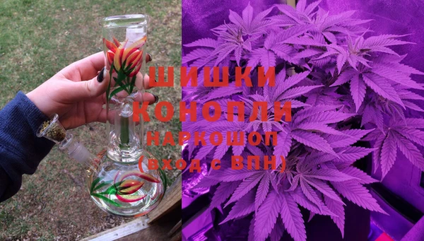ешки Алзамай