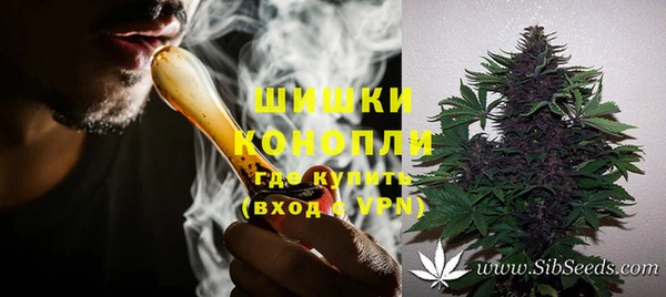 сатива Алексин